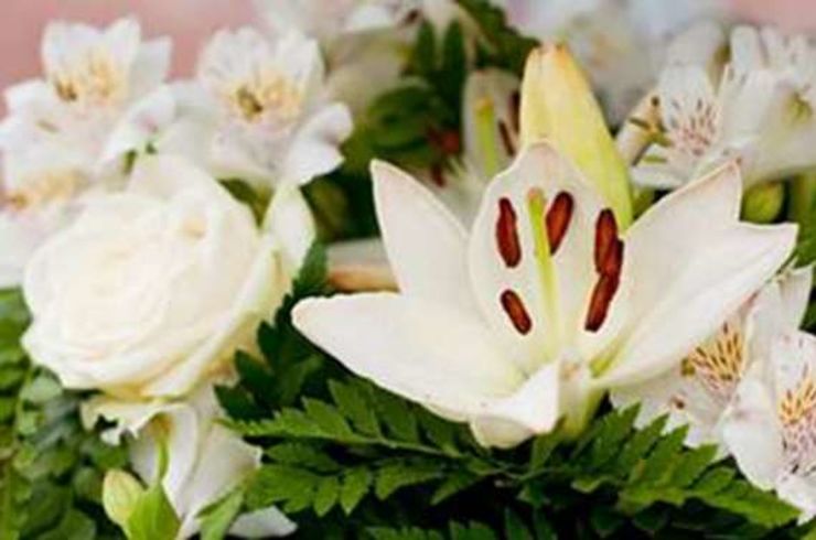 白井花アップ